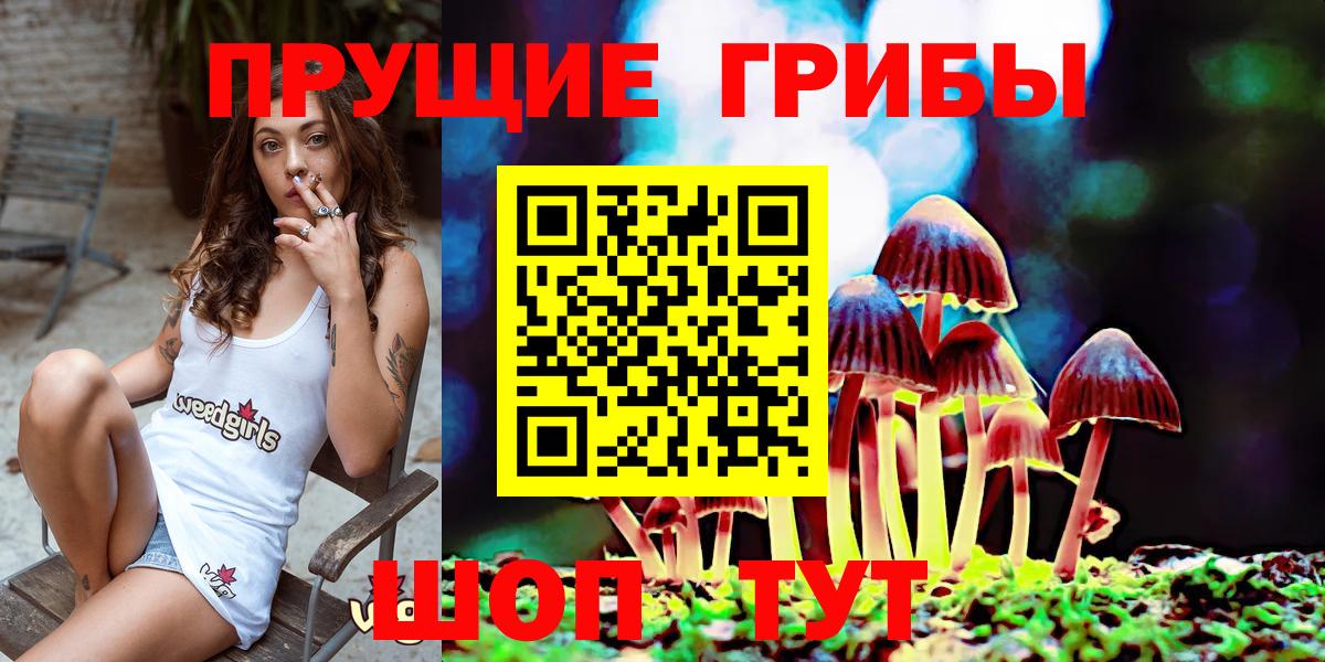 Псилоцибиновые грибы MAGIC MUSHROOMS  Галлюциногенные грибы GOLDEN TEACHER  Тихорецк  Вход с VPN 